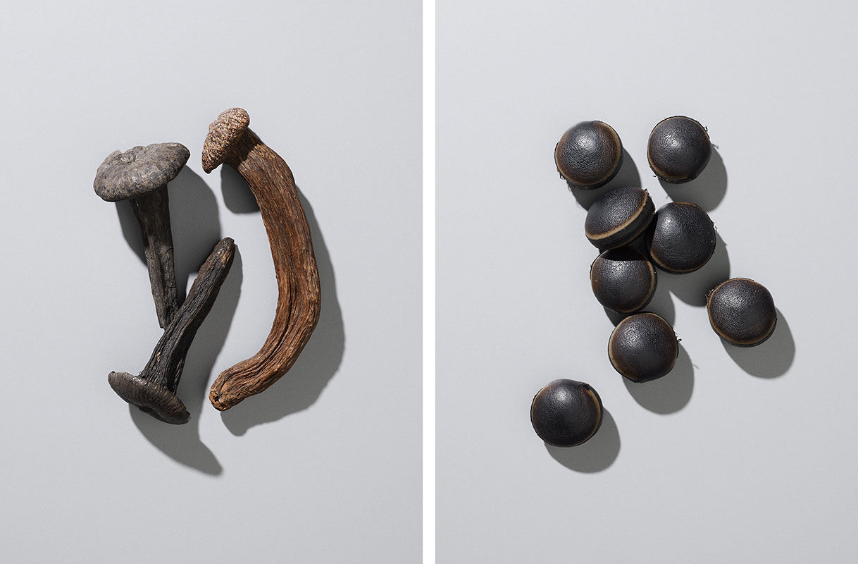 COPYRIGHT OLIVER LIPPERT