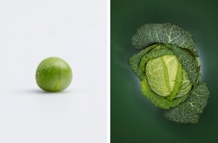 oliverlippert_food_021