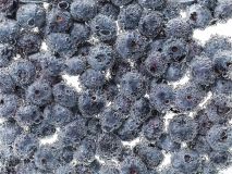 oliverlippert_food_069