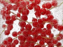 oliverlippert_food_071