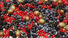 oliverlippert_food_137