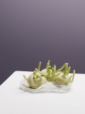 oliverlippert_food_014