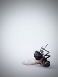oliverlippert_stills_029