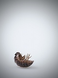 oliverlippert_stills_030